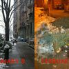 Is Your Block Still "Celebrating" Christmas? Call 311